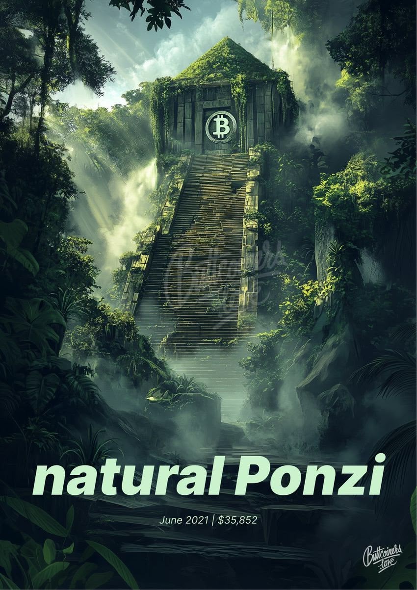 "a sort of natural Ponzi scheme" — Paul Krugman, 2021