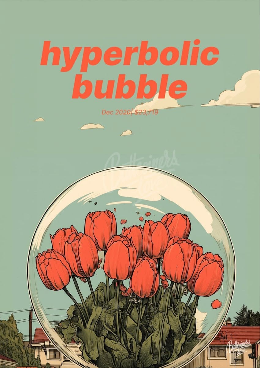 "hyperbolic bubble" — Nouriel Roubini, 2020
