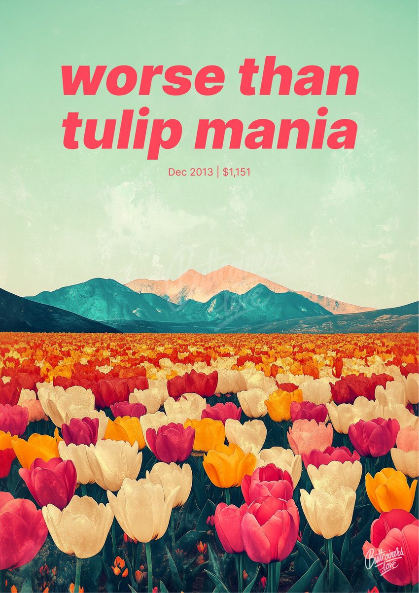 "worse than tulip mania" — Nout Wellink, 2013