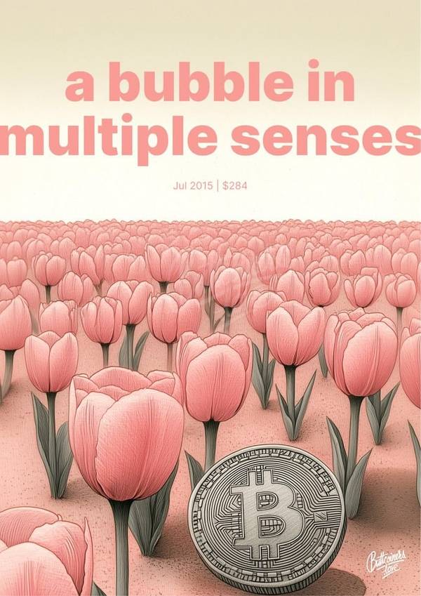 "a bubble in multiple senses" — Paul Krugman poster