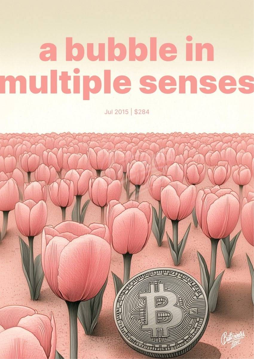 "a bubble in multiple senses" — Paul Krugman poster